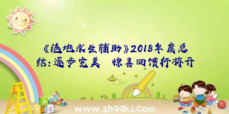 《绝地求生辅助》2018年度总结：逐步完美